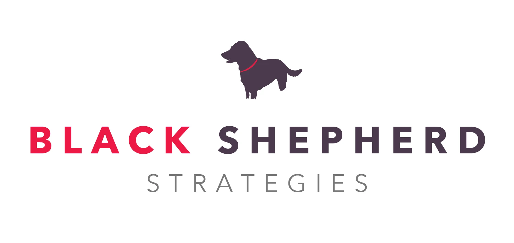 BlackShepherd_logo_color
